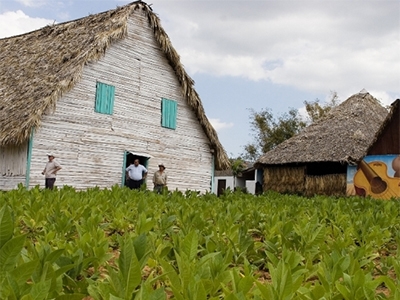 Escursioni a Cuba da l'Avana, Varadero, Vinales e Cayos di Cuba