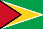 Documenti per fare una pratica completa per visto turistico dalla Guyana?